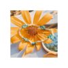 GREENTIME Cuentas de semillas para hacer pulseras kit de_6