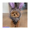 Anelekor Gorro de peluche para cachorro con diseño de_5