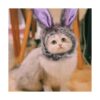 Anelekor Gorro de peluche para cachorro con diseño de_3