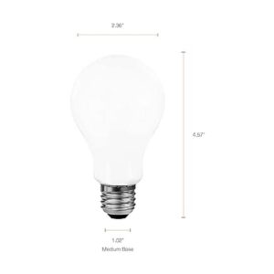 Sylvania Bombilla LED A21 reducida de tensión ocular 100_6