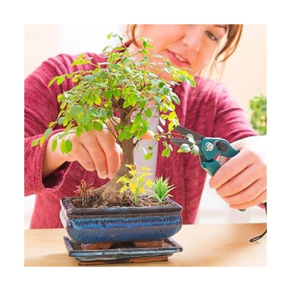 120 plantas modelo de colores mixtos plantas tropicales en
