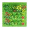 120 plantas modelo de colores mixtos plantas tropicales en