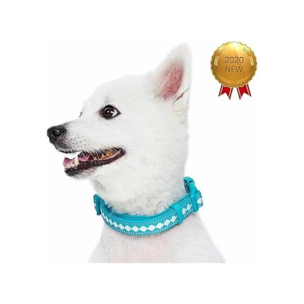 Blueberry Pet 3M Collar de perro ajustable de neopreno_2