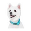 Blueberry Pet 3M Collar de perro ajustable de neopreno_3