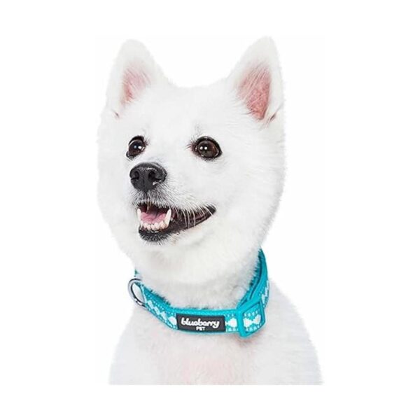Blueberry Pet 3M Collar de perro ajustable de neopreno_3