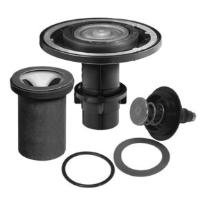 Sloan Valve A1101ABX 3301150 Royal Armario de doble filtro_1