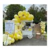 OUOshield Kit de arco de guirnalda de globos amarillos