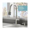 American Standard 1660403.007 Huntley SelectFlo Cepillo_2