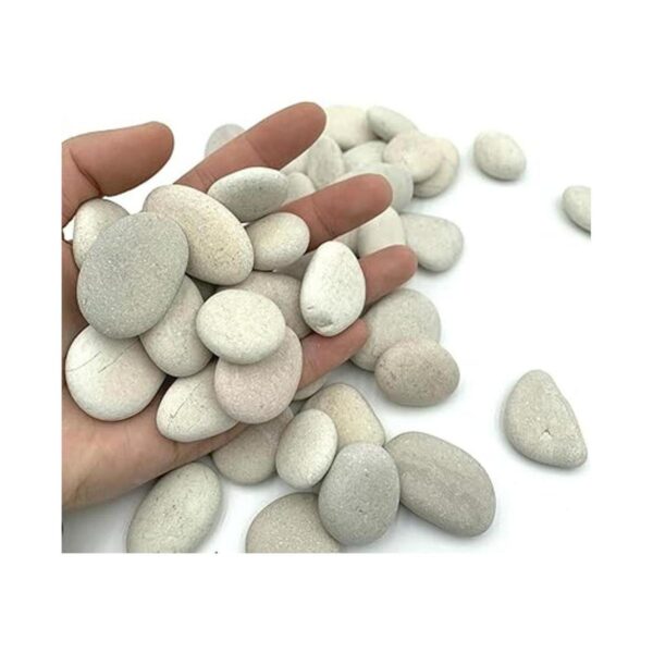 Lifetop 50 rocas de pintura blancas para pintar con_2