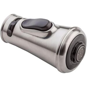 Pfister 950540S Ashfield Cabezal de pulverización_1