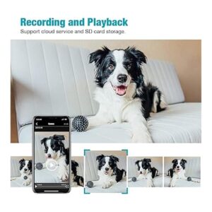 Cámara para mascotas cámara para mascotas Vimtag 1080P_5