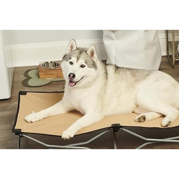 Carlson Pet Products Cama grande portátil para mascotas_2