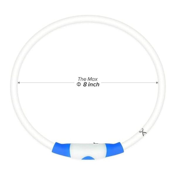 BSEEN Collar de perro iluminado Collar recargable LED_5