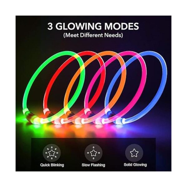 BSEEN Collar de perro iluminado Collar recargable LED_2