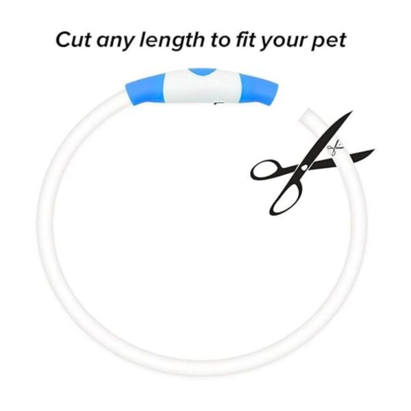 BSEEN Collar de perro iluminado Collar recargable LED_3