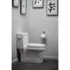 Danze D446232BN Parma Soporte para papel higiénico_2