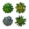 CoCoMe Divertidos imanes para refrigerador de resina 3D_1