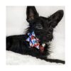 Huxley Kent Molinillo Cuadros de picnic pequeño