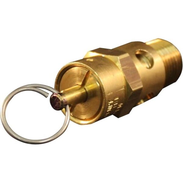 Milton S1090150 MNPT ASME Válvula de seguridad 14 150_3