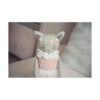 Inspired by Jewel Poppy The Cat Muñeca de felpa hecha a_3