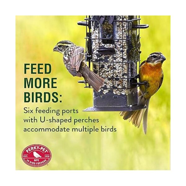 Comedero para aves antiardillas de Perky Pet Beige_3
