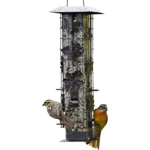 Comedero para aves antiardillas de Perky Pet Beige_1