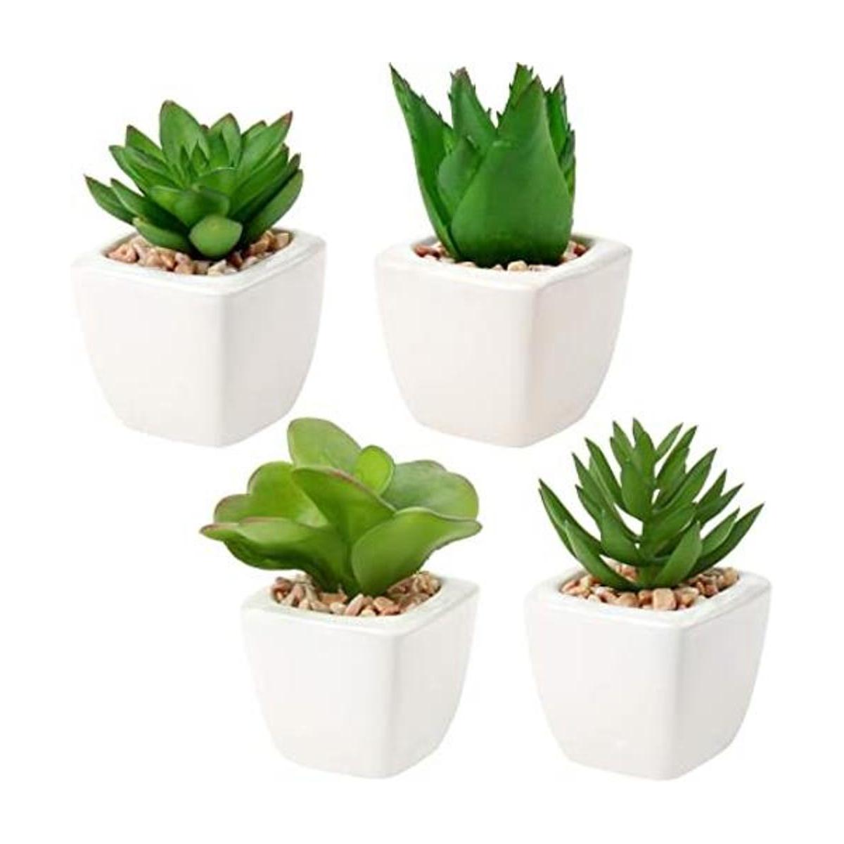 Briful Plantas artificiales de suculentas falsas en forma