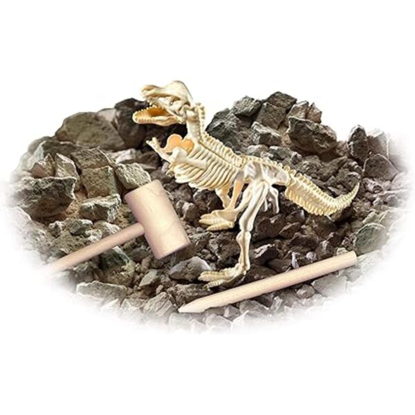 Juego de excavación de dinosaurios T Rex de Smithsonian_3
