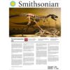 Juego de excavación de dinosaurios T Rex de Smithsonian_5