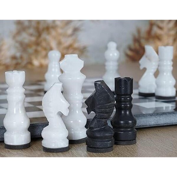 RADICALn Juego de juegos de mesa de ajedrez de torneo_2