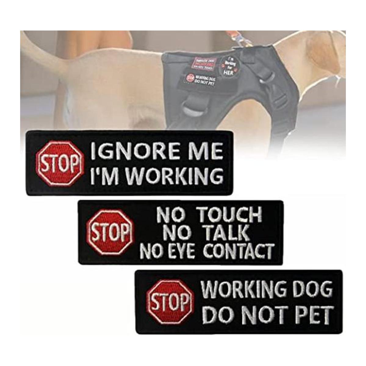 Servicio de etiquetas para perros trabajo para