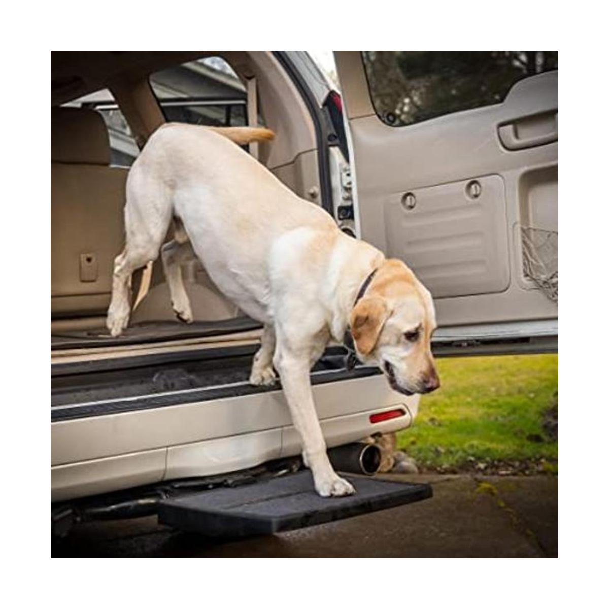 Rampa y escalón para mascota para auto Otto Step