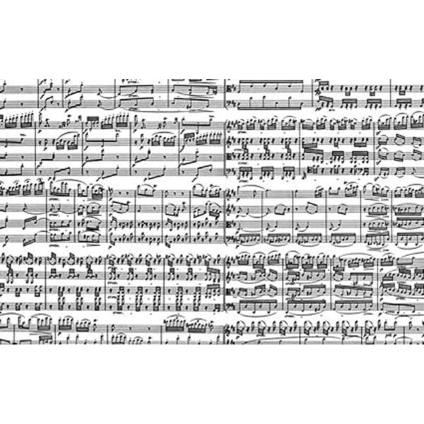 Piatnik Musical Notes 1000 piezas puzzle_3