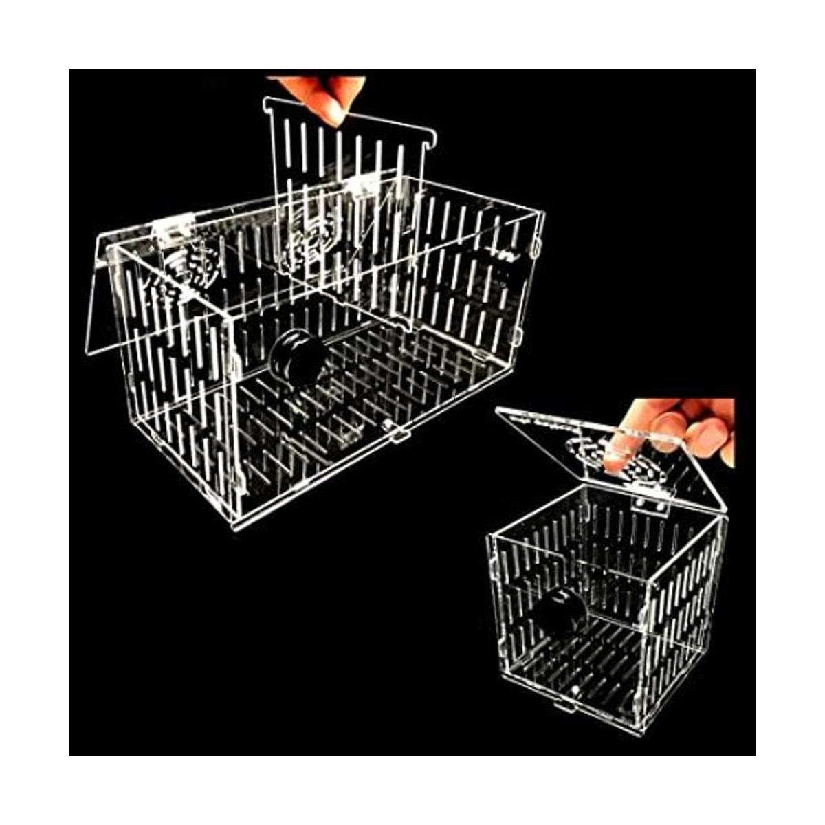 Reefing Art Pequeña caja magnética para criador de