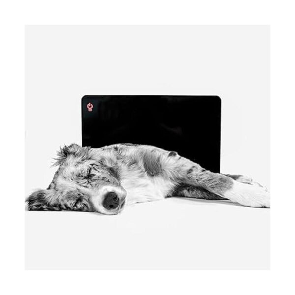Cozy Products Calentador para mascotas de 200 vatios