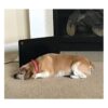 Cozy Products Calentador para mascotas de 200 vatios