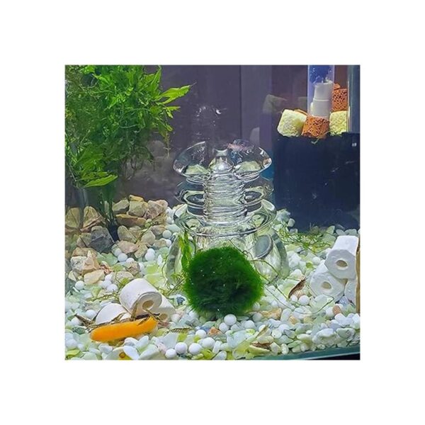 Piedra de arena de grano de jade de 3 libras suculentas y_5