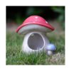 Hapyard Safe Hamster Bed with Ceramic for Small Animal_5