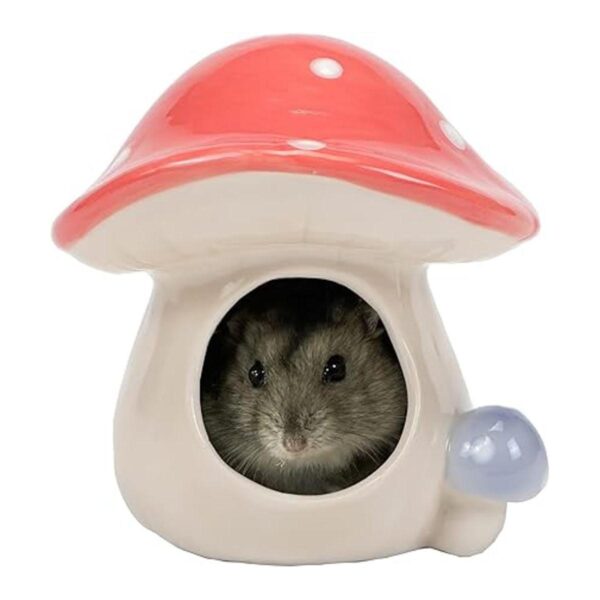 Hapyard Safe Hamster Bed with Ceramic for Small Animal_4