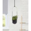 Umbra Macetero colgante Bolo_6