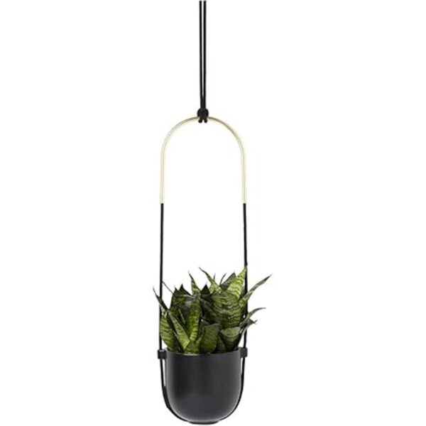 Umbra Macetero colgante Bolo_2