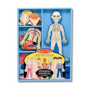 Set de juego magnético de anatomía del cuerpo humano con_1