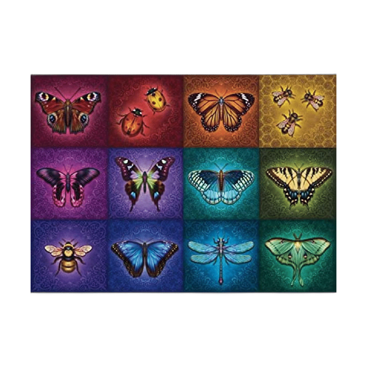 Ravensburger Winged Things Rompecabezas de 1000 piezas