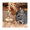 SMechanic Bunny Chew Toys Natural Apple Wood Pequeño