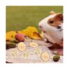 SMechanic Bunny Chew Toys Natural Apple Wood Pequeño