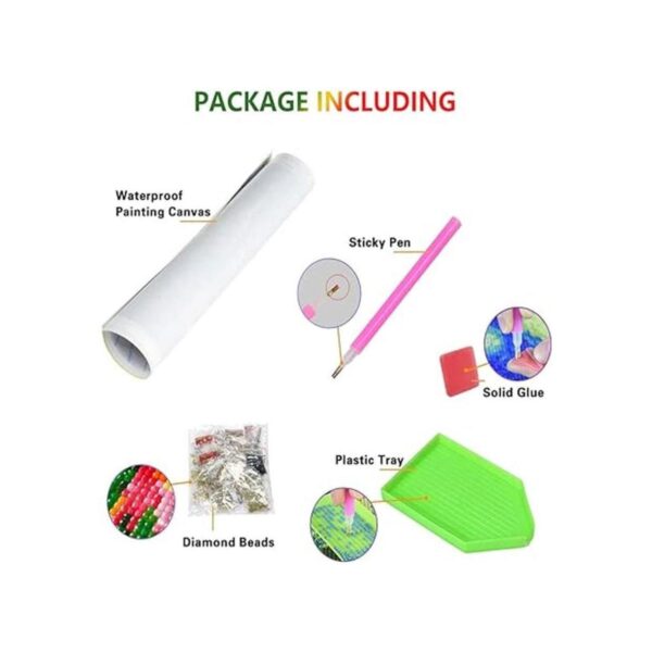 Diymood Kit de pintura de diamantes 5D por números