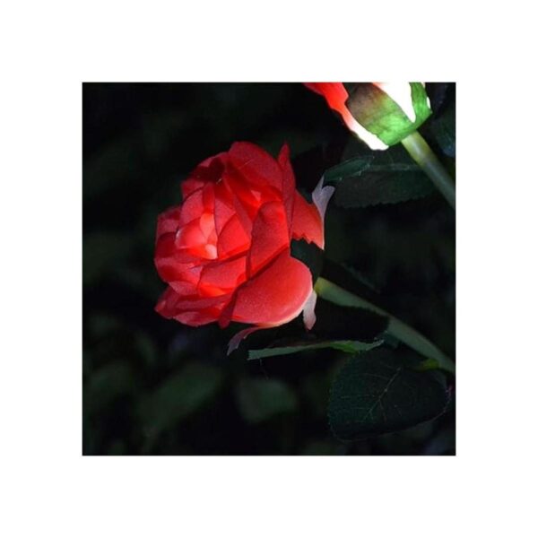 6 flores mejoradas Luces solares decorativas de jardín_2