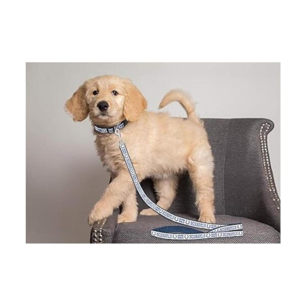 Pets First Indianapolis Colts Correa_3