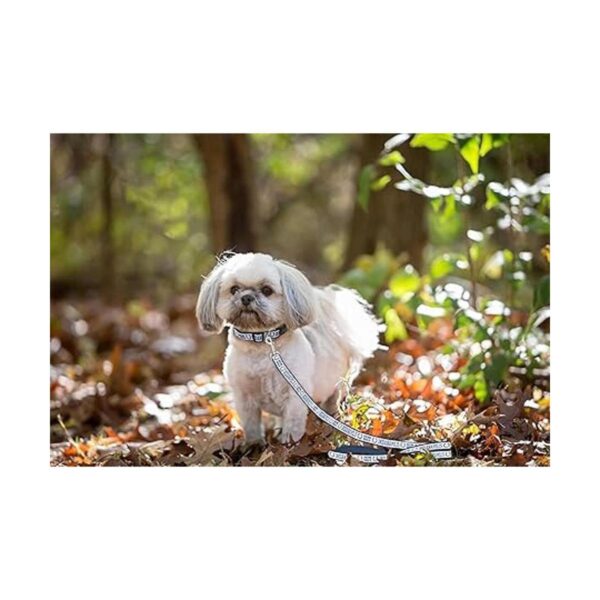 Pets First Indianapolis Colts Correa_4