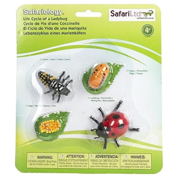 Safari Ltd Safariology Collection Ciclo de vida de una